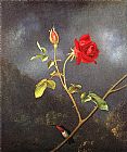 Martin Johnson Heade Red Rose with Ruby Throat painting